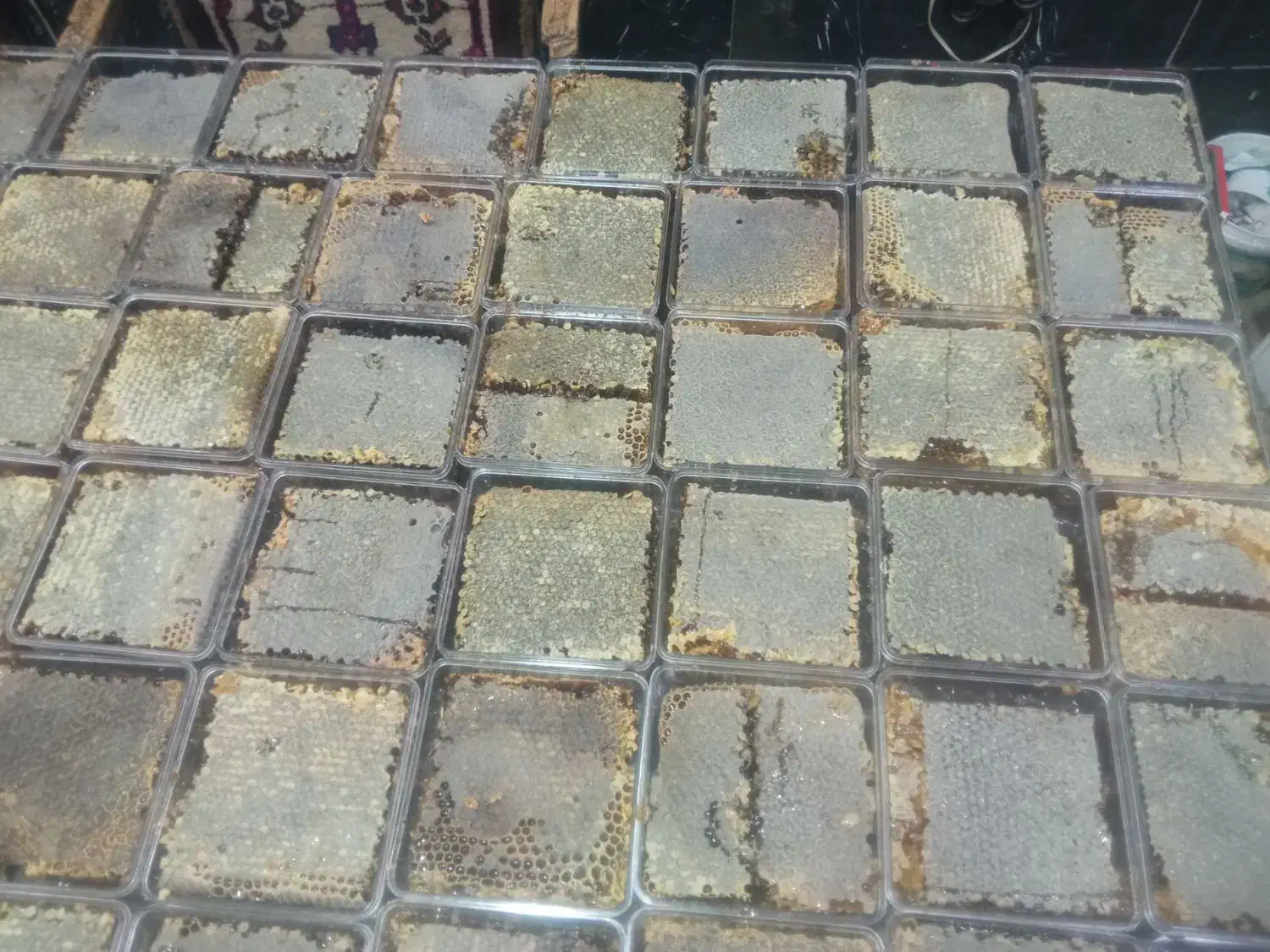 عسل|عمدهفروشی|یاسوج, |دیوار