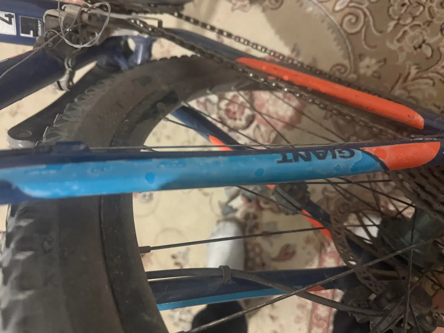 دوچرخه|دوچرخه، اسکیت، اسکوتر|اشتهارد, |دیوار