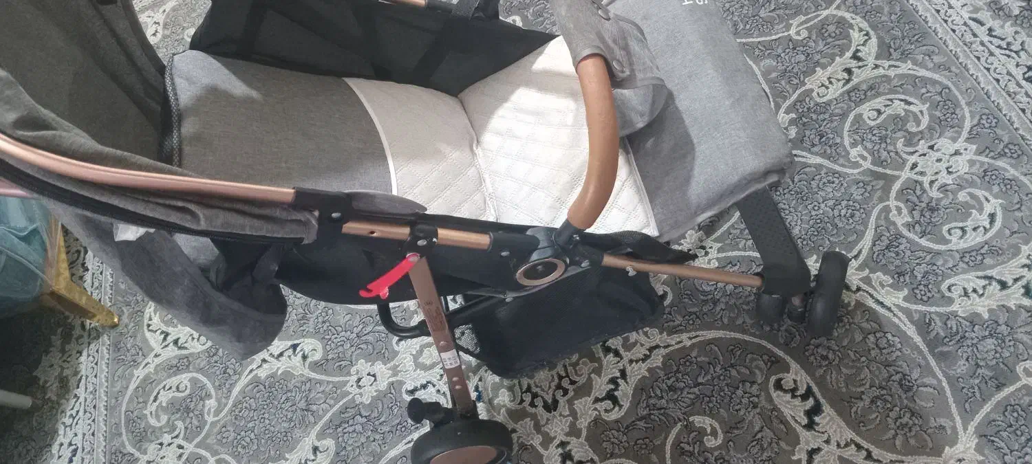 کالسکه|کالسکه و لوازم جانبی|قشم, |دیوار