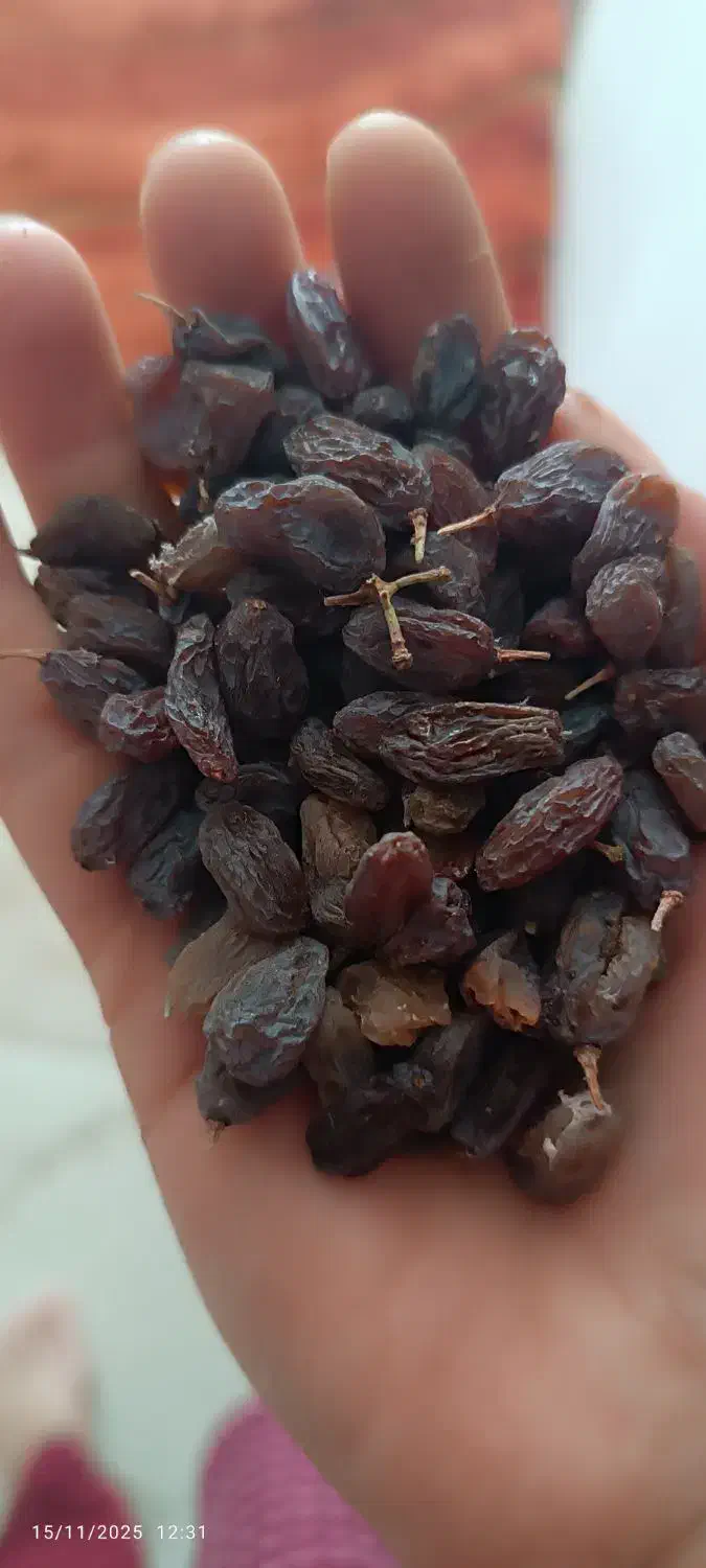 کشمش آفتابی بوانات ۲۳۰|خوردنی و آشامیدنی|شیراز, مسکن مهر شیراز|دیوار