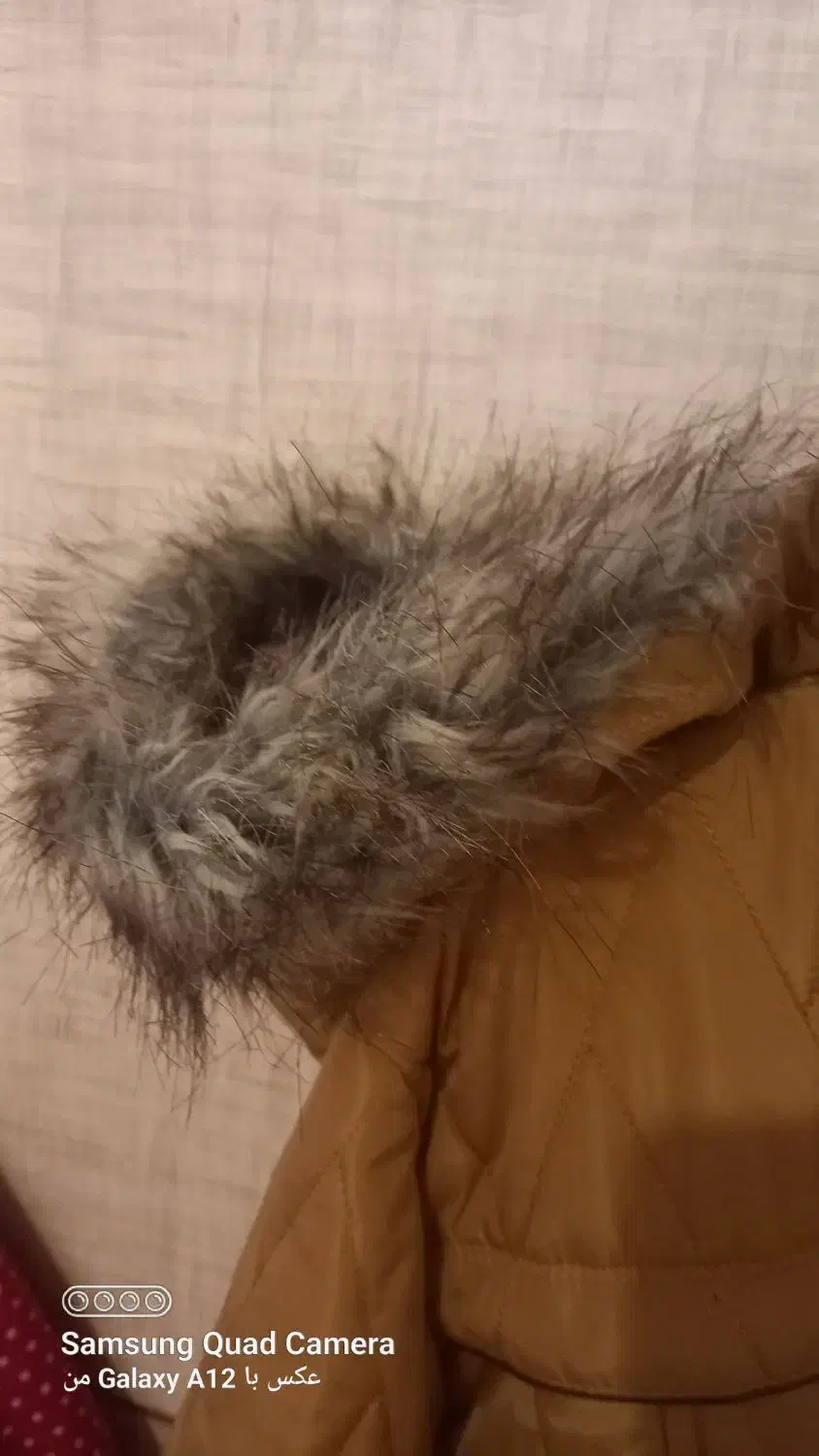 پالتو تاسایز ۴۰ میخوره|لباس|پرند, فاز ۵|دیوار