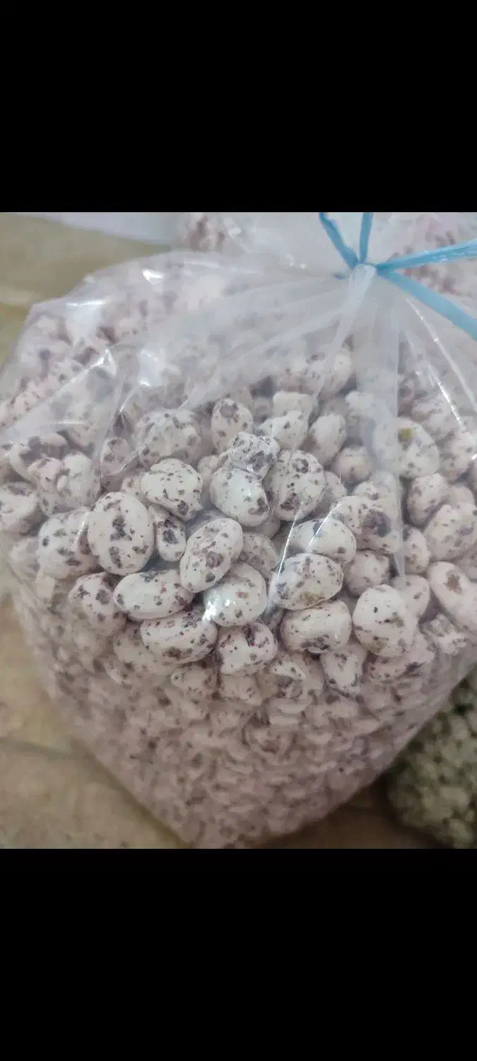 ب تعدادی نیروی کار نیازمندیم|استخدام صنعتی، فنی، مهندسی|صباشهر, |دیوار