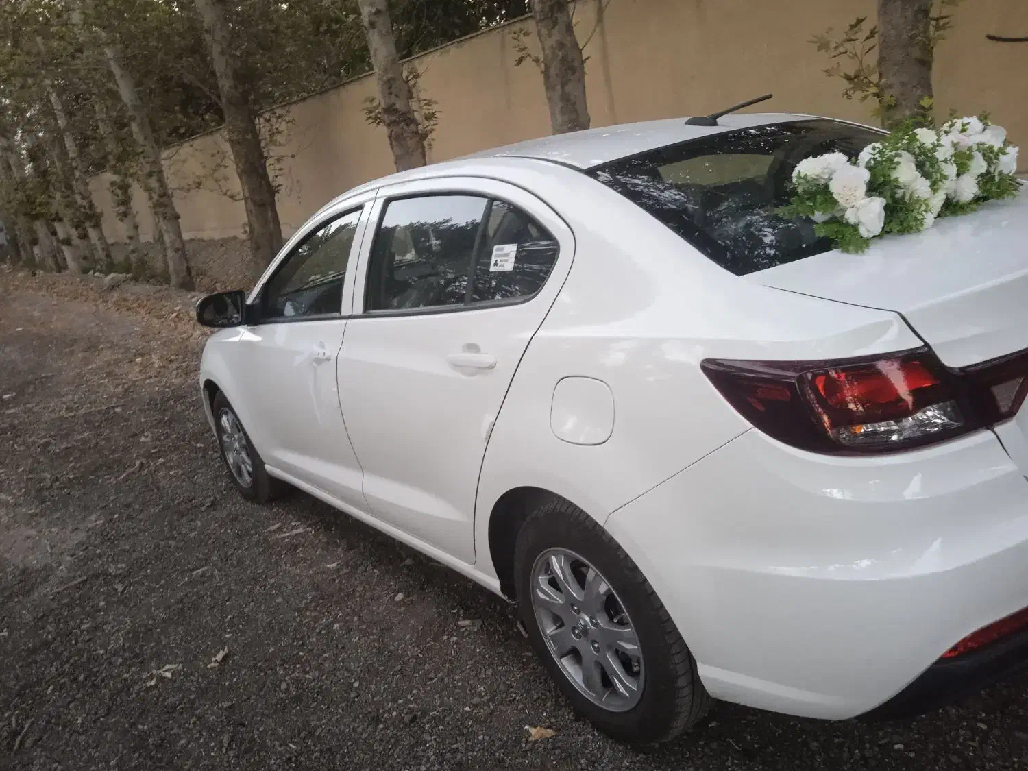 اجاره ماشین عروس شاهین|گل و گیاه طبیعی|فردیس, شهرک راه آهن|دیوار