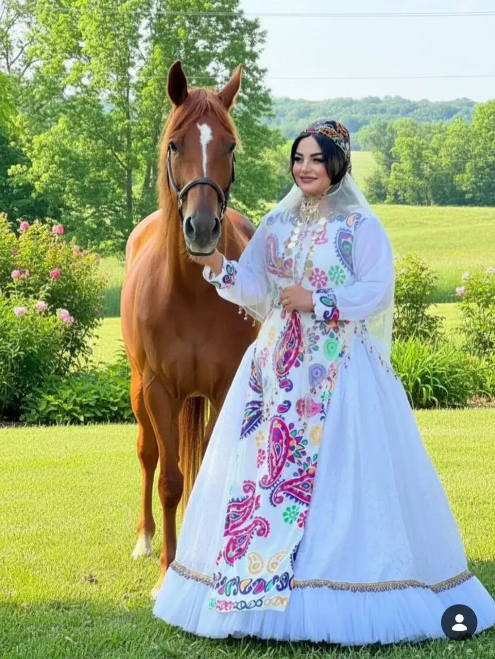 طراحی عکس|تابلو، نقاشی، عکس|شیراز, مسلم|دیوار