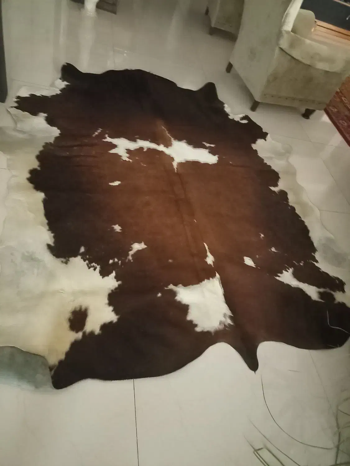 فرش پوست گاو چرم طبیعی|فرش|مشهد, وکیلآباد|دیوار