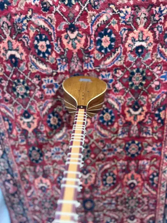 ساز نظری|سازهای سنتی|قرچک, مهدیه|دیوار