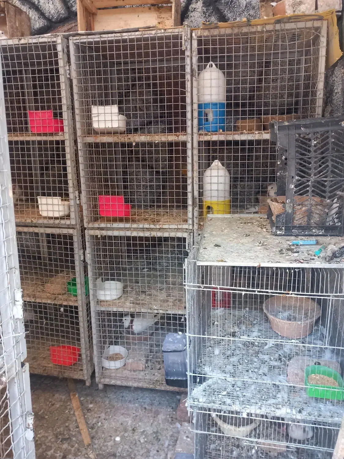 فروش تعدادی قفس جفت کن .بافنس وانتی|لوازم جانبی حیوانات|اسدآباد, |دیوار