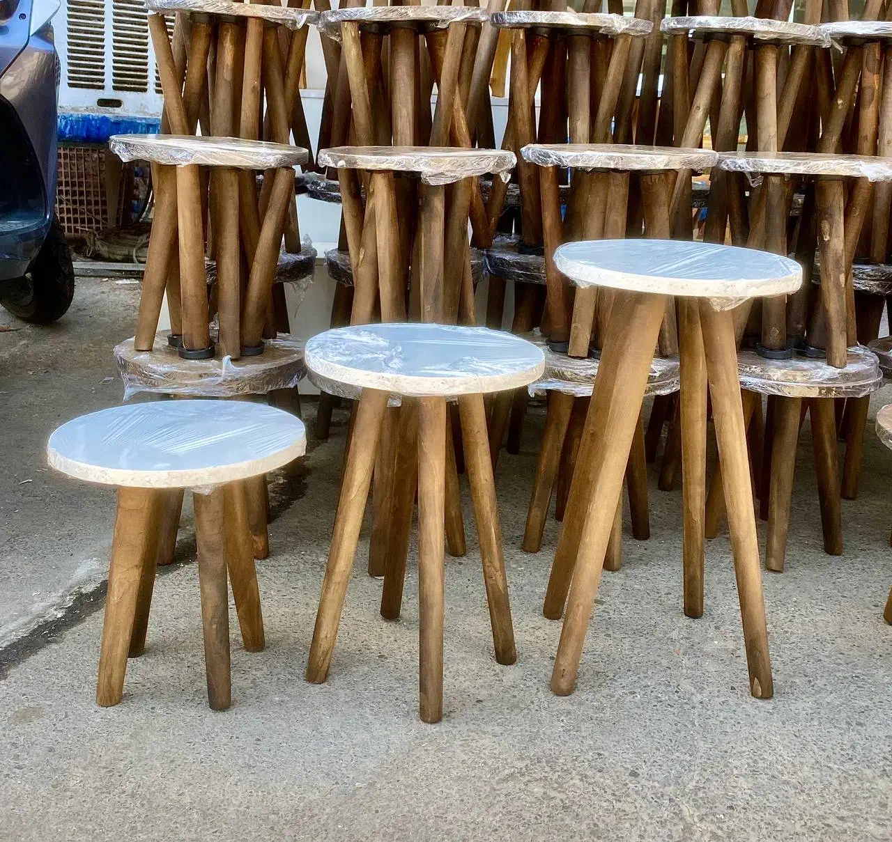 پایه گلدان|گل و گیاه طبیعی|خرمشهر, |دیوار