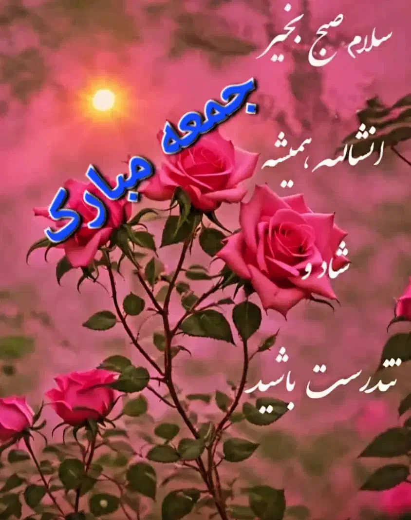 بم  کرمان|خدمات حمل و نقل|بم, |دیوار