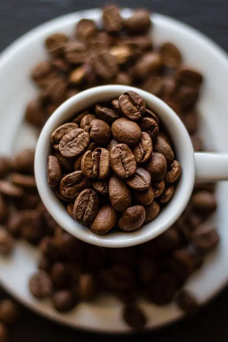 انواع دان قهوه|عمده‌فروشی|میانه, |دیوار