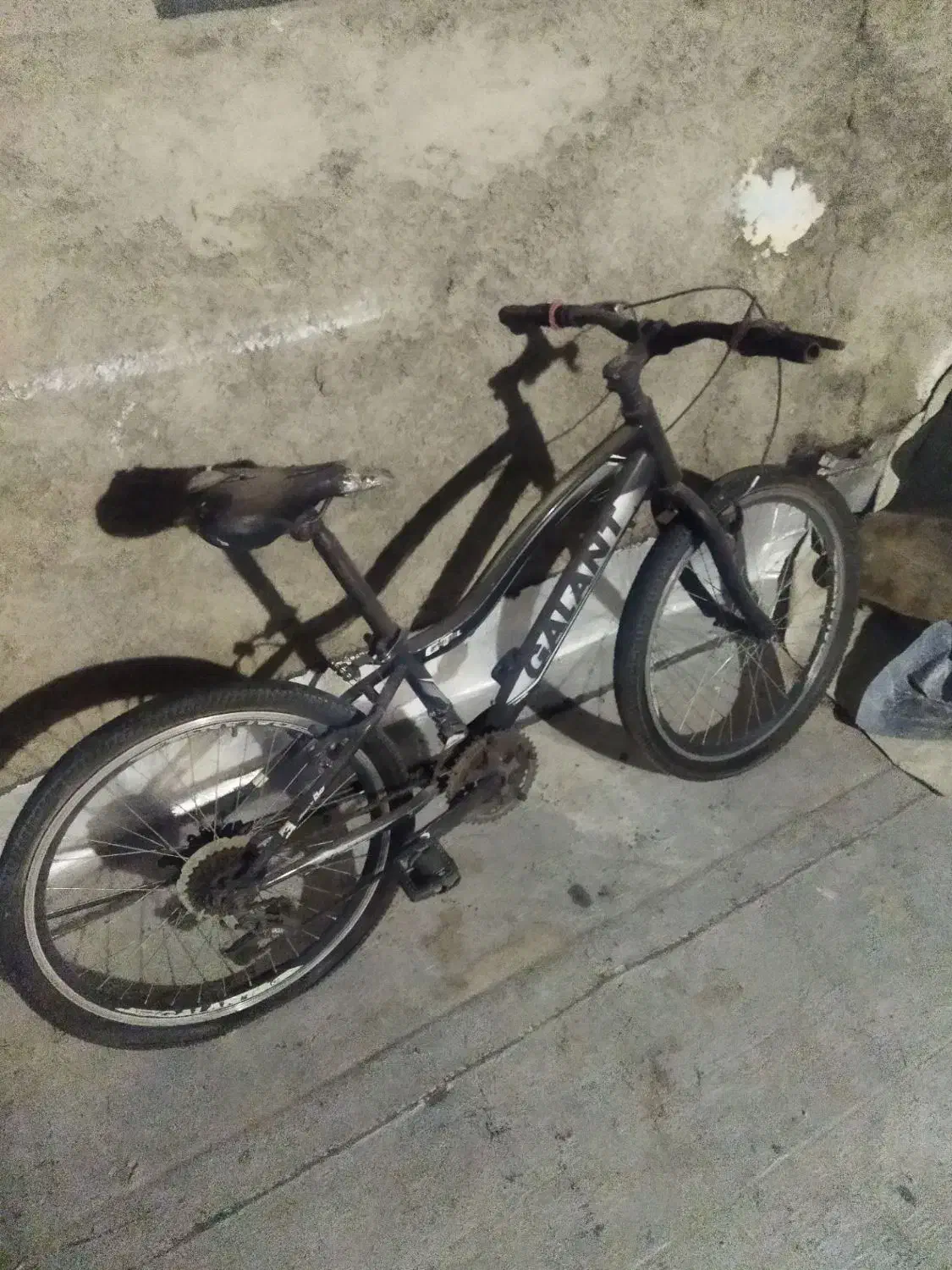 دوچرخه گالانت|دوچرخه، اسکیت، اسکوتر|مشکین‌دشت, |دیوار