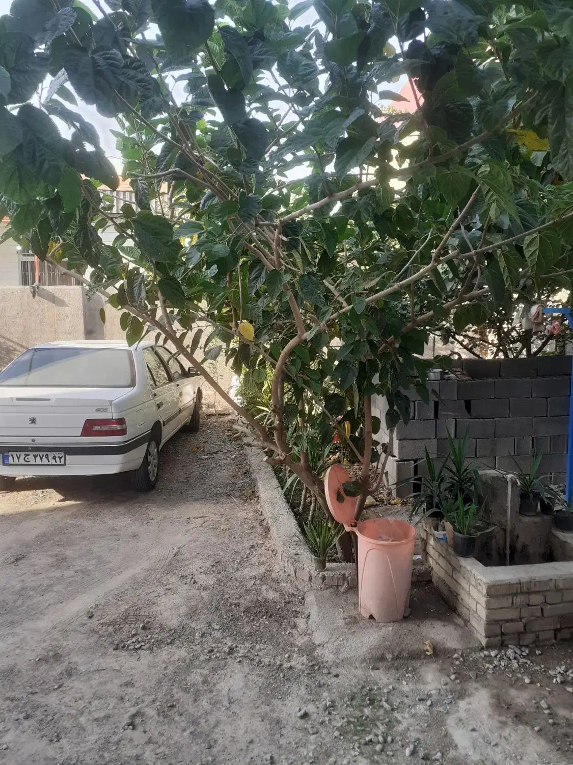 خانه مسافروصال آق قلا|اجارهٔ کوتاه‌مدت آپارتمان و سوئیت|آق قلا, |دیوار