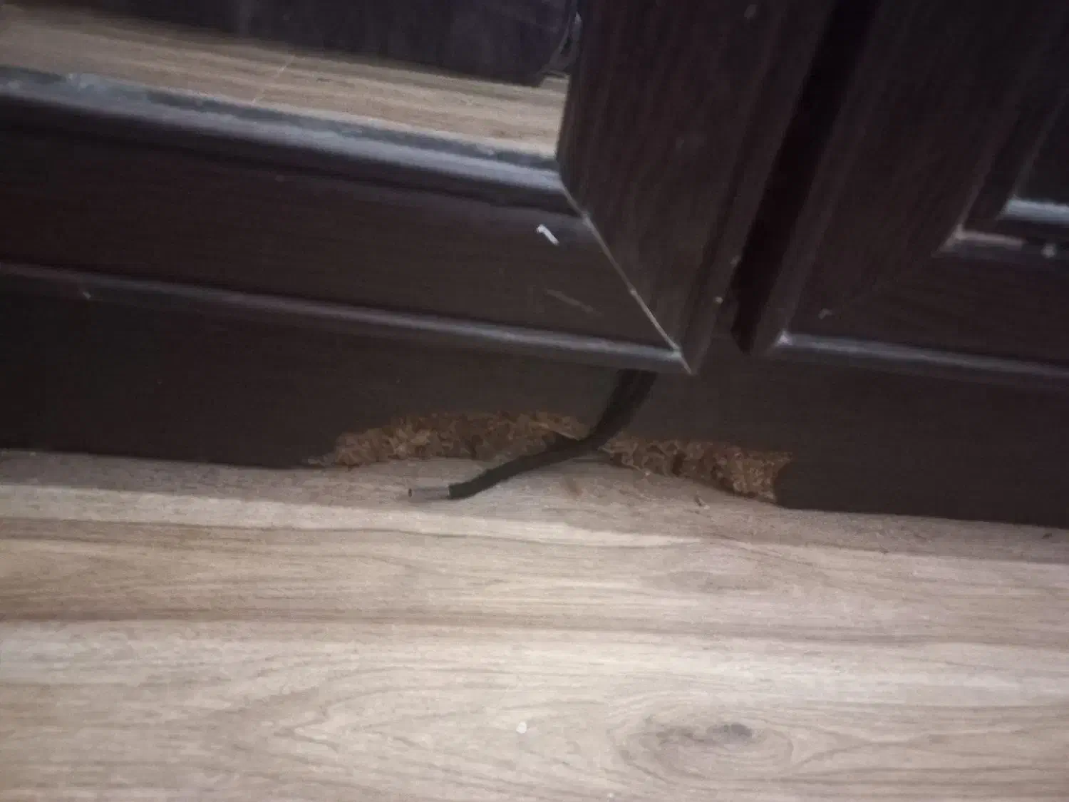 جاکفشی|جاکفشی، کمد، دراور|صدرا-فارس, فاز ۱|دیوار