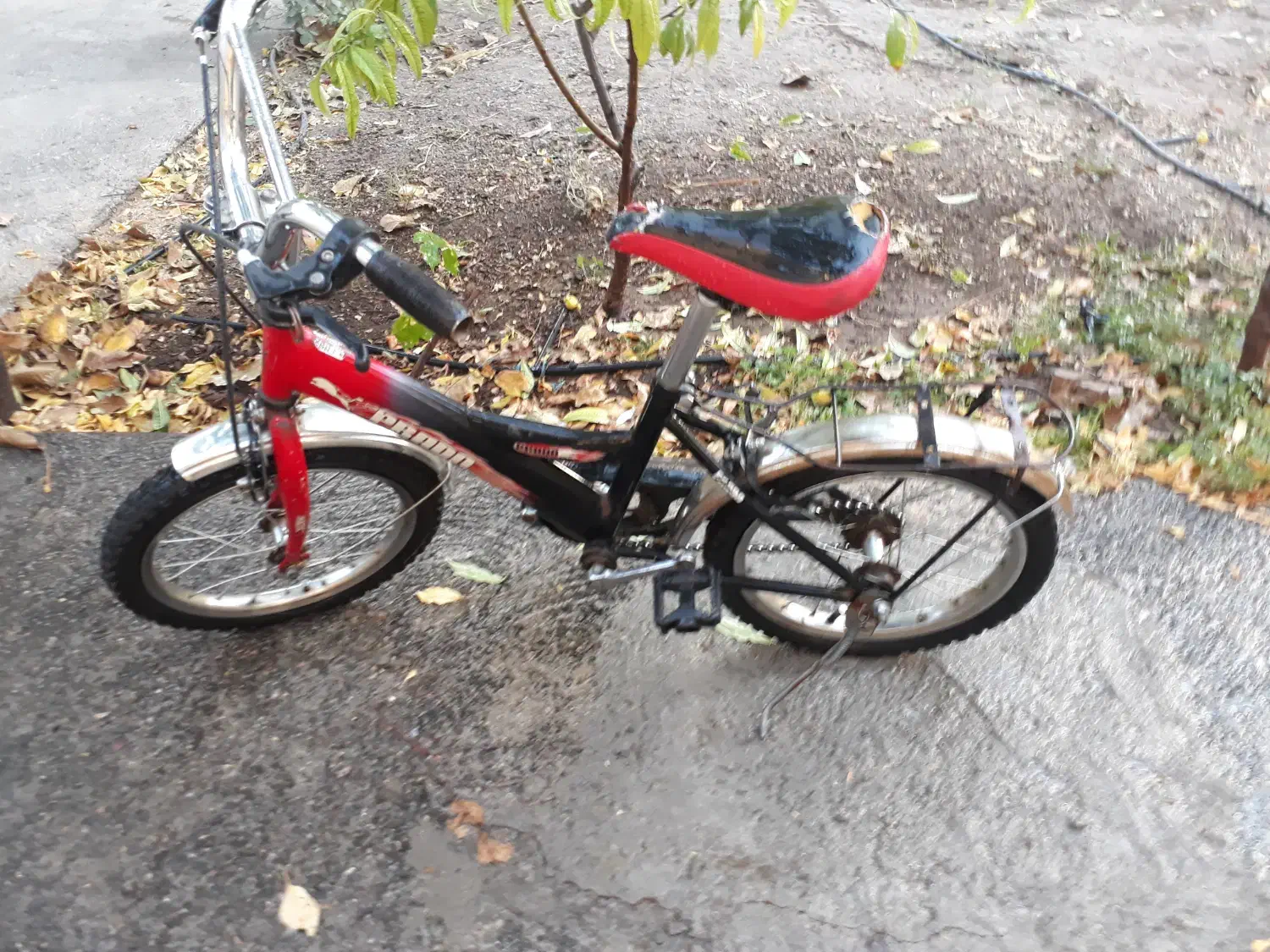 فروش دوچرخه ۱۶|دوچرخه، اسکیت، اسکوتر|ابهر, |دیوار