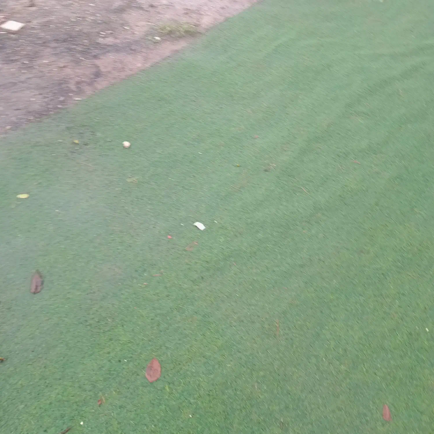 چم۲۵میل مصنوعی اسیا|مصالح و تجهیزات ساختمان|رشت, پسیخان|دیوار