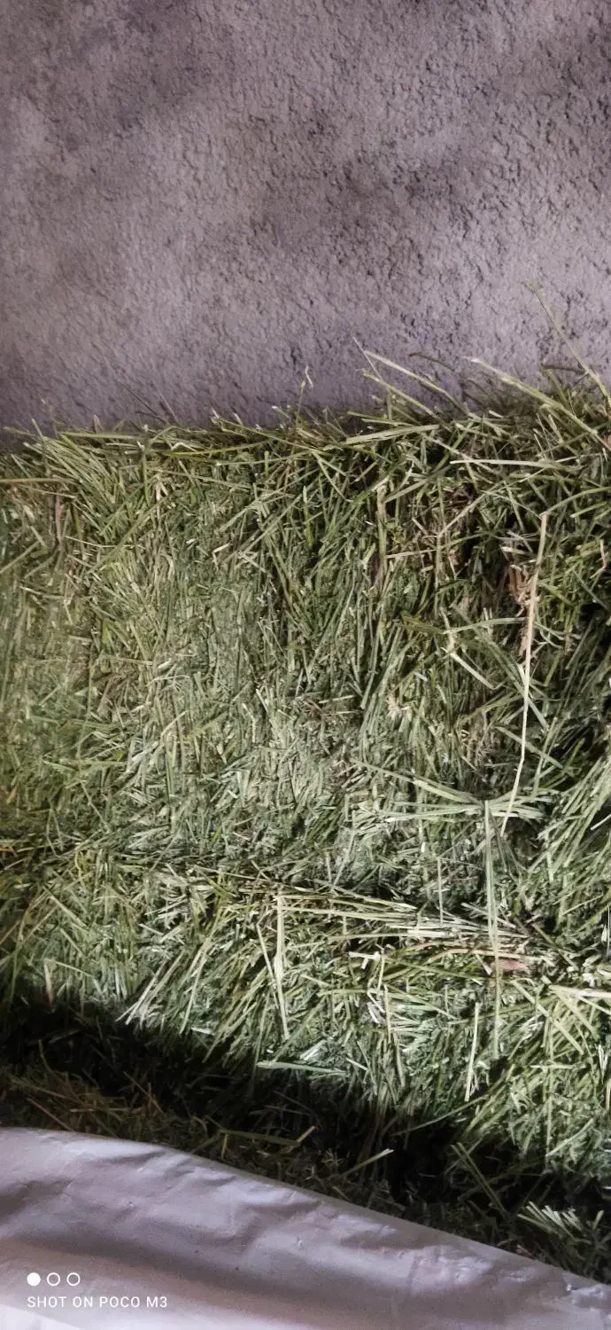 پرس یونجه|لوازم جانبی حیوانات|بیرانوند, |دیوار