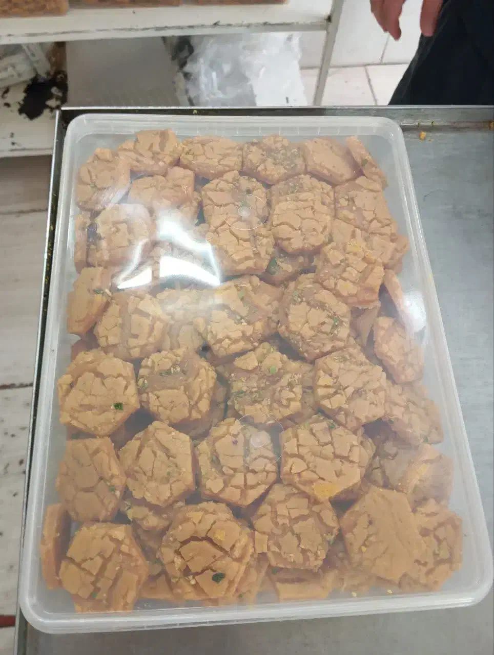 ابنباتی ترد|حراج|قم, دورشهر|دیوار