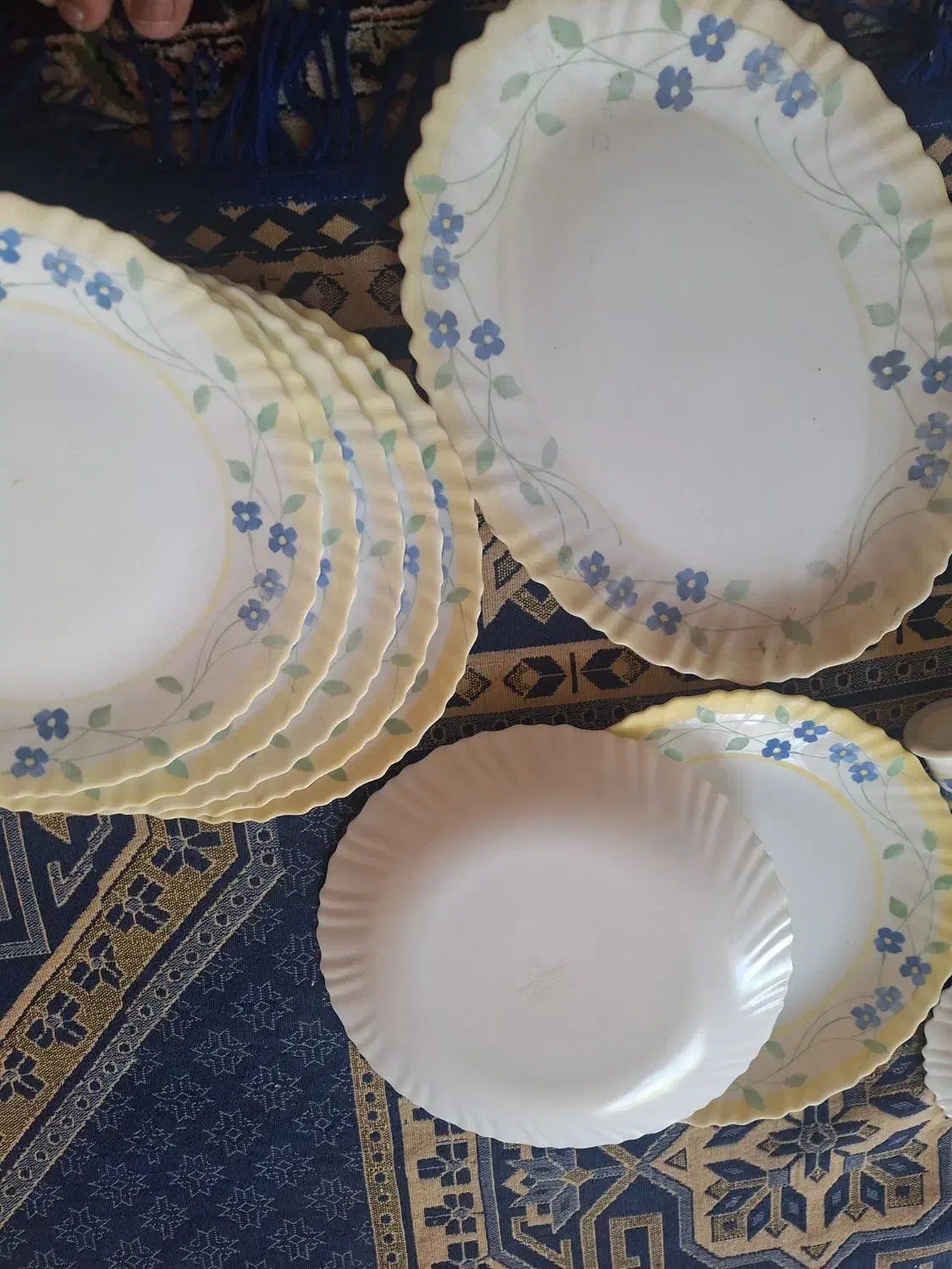 آرکوپال پنسی|ظروف سرو و پذیرایی|خمینیشهر, |دیوار