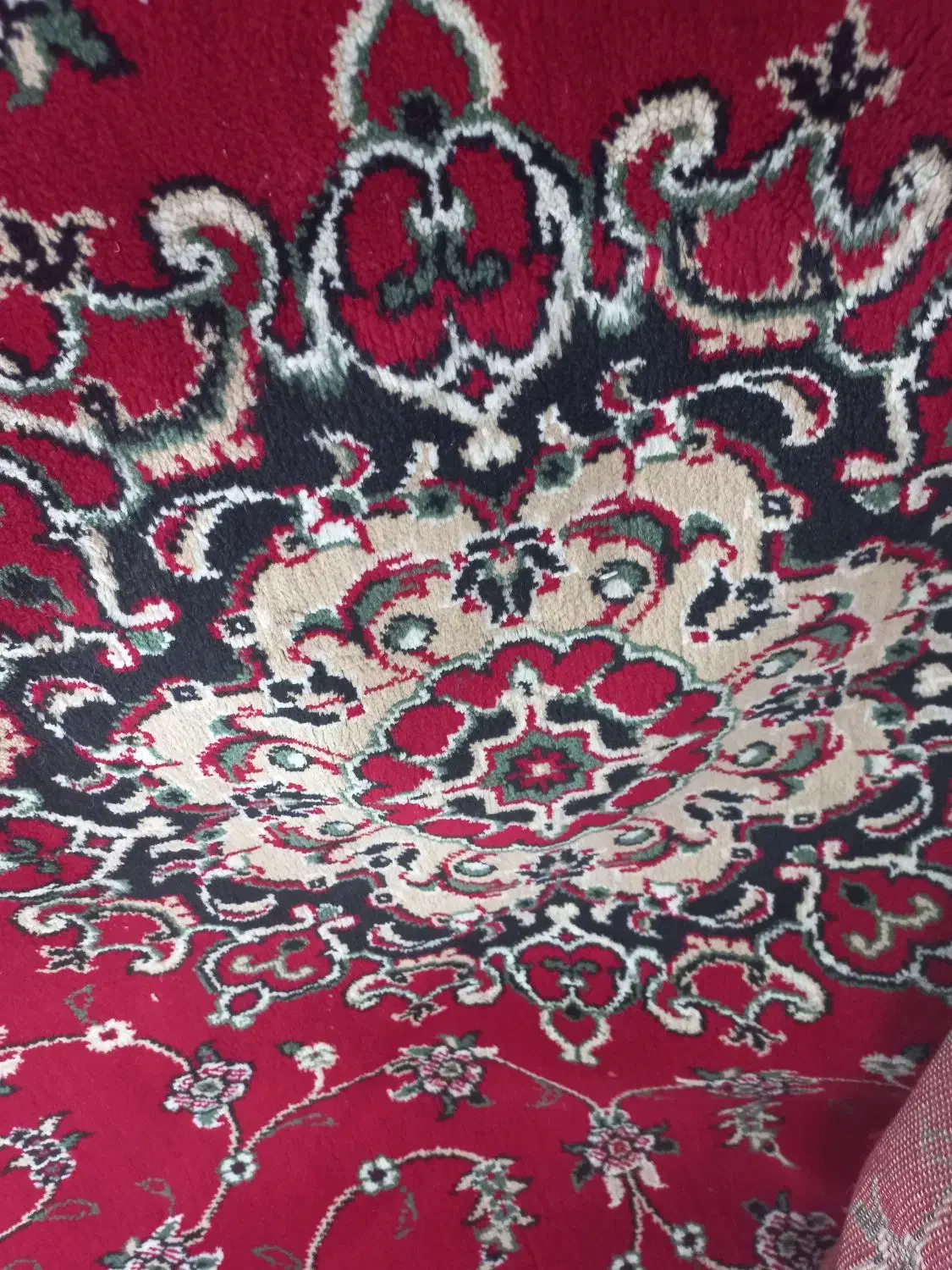 قالی|فرش|بندر ماهشهر, |دیوار