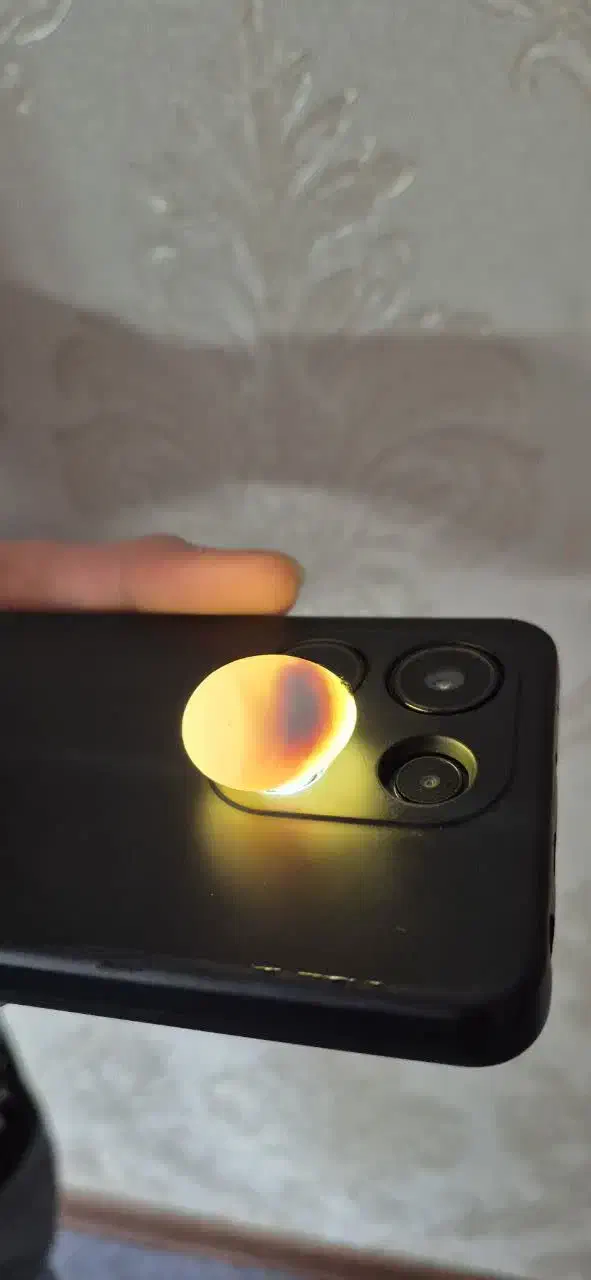 عروس هلندی مولد|پرنده|فولادشهر, C2|دیوار