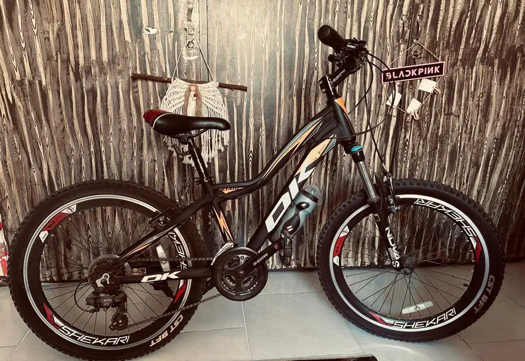 دوچرخه شکاری کوهستان ok 24|دوچرخه، اسکیت، اسکوتر|اندیشه, اندیشه فاز ۱|دیوار