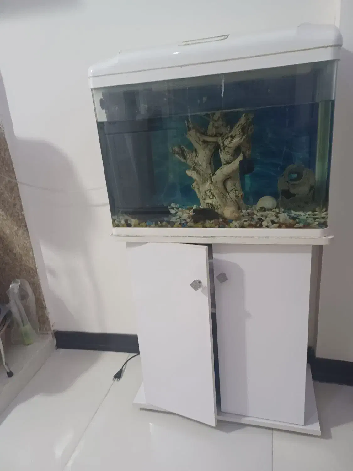 اکواریوم شرکتی شیشه خم|ماهی|چهاردانگه (تهران), |دیوار