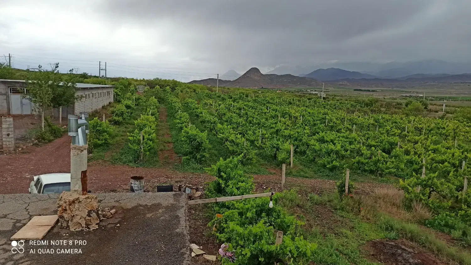 باغ جلفادشت گردیان|فروش خانه و ویلا|جلفا, |دیوار