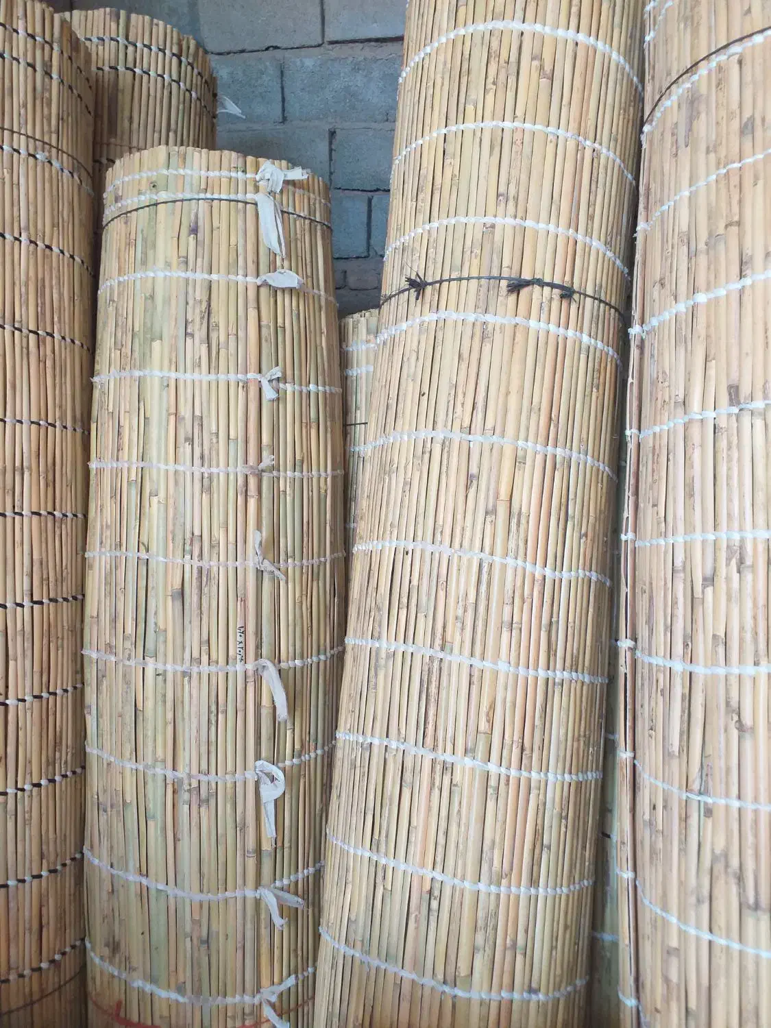 حصیربافی سنتی|صنایع دستی و سایر لوازم تزئینی|گنبد کاووس, |دیوار