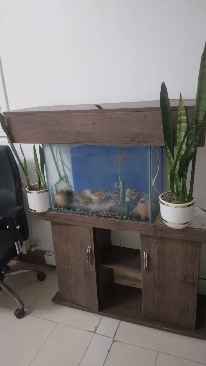 آکواریوم با پایه ام دی اف کاملا سالم|ماهی|ری, شهرری|دیوار