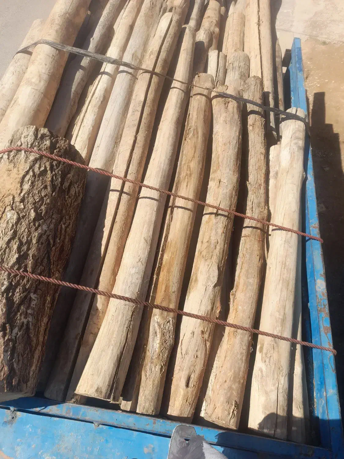 خریدار چوب کار و زغالی|خدمات باغبانی و درختکاری|سمیرم, |دیوار