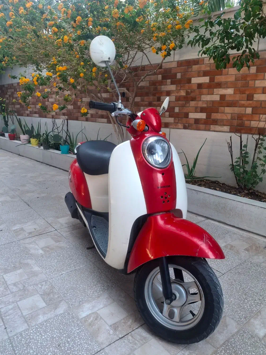 هوندا اسکوپی|موتورسیکلت|جم, |دیوار