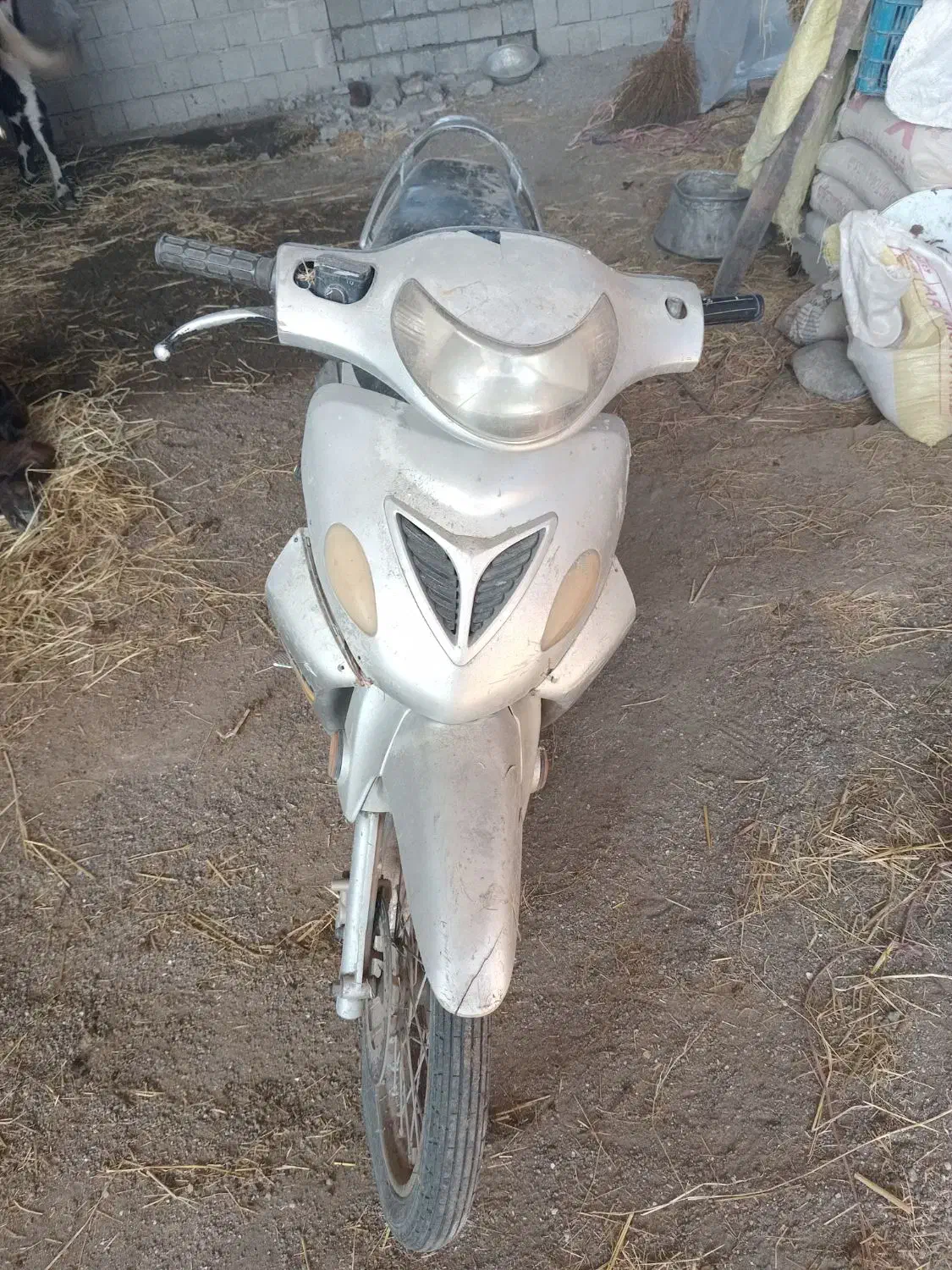 متور روان مدل 89|موتورسیکلت|چوبر, |دیوار