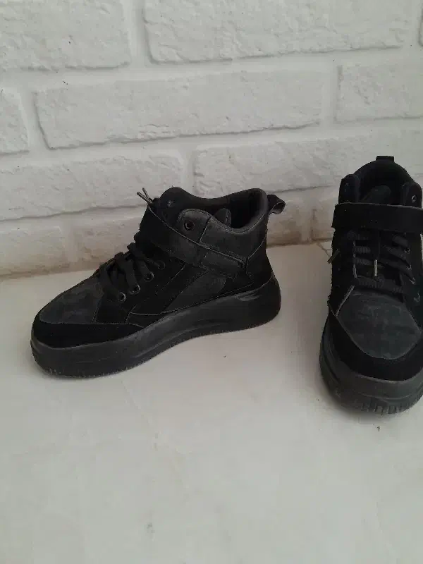 کفش|کیف، کفش، کمربند|گنبد کاووس, |دیوار