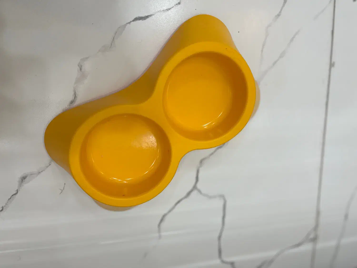 پارک و لوازم حیوانات|لوازم جانبی حیوانات|رشت, لاکان شهر|دیوار