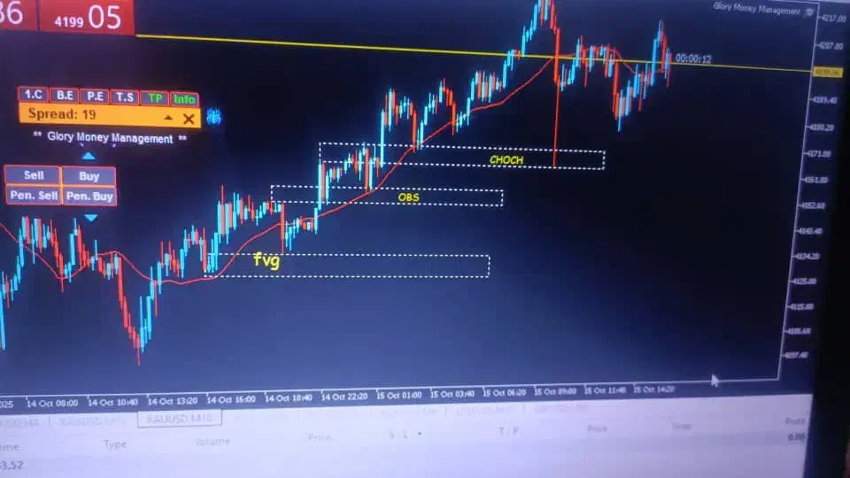 گرد همایی تریدر ها|فعالیت داوطلبانه|میناب, |دیوار