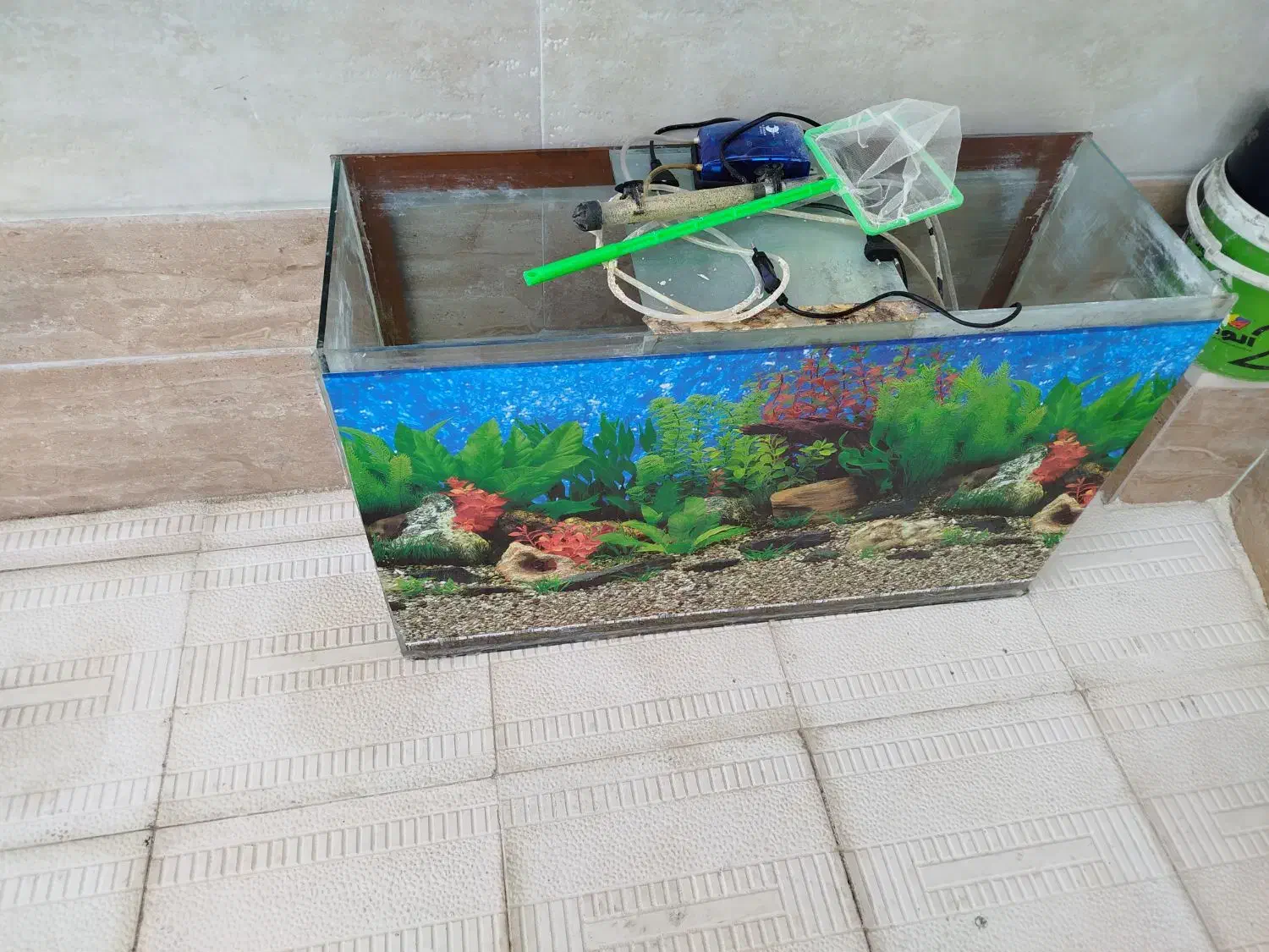 آکواریوم|ماهی|محمدبار, |دیوار