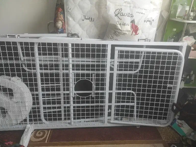 تخت بیمارستانی|آرایشی، بهداشتی، درمانی|رشت, رودبارتان|دیوار