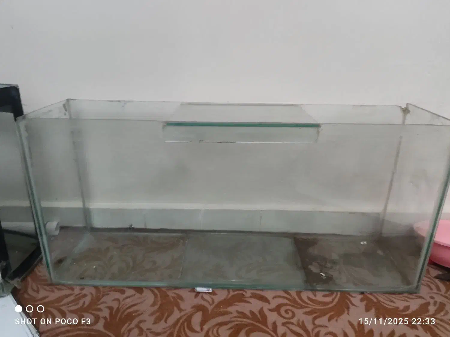 اکواریوم|ماهی|خوی, |دیوار