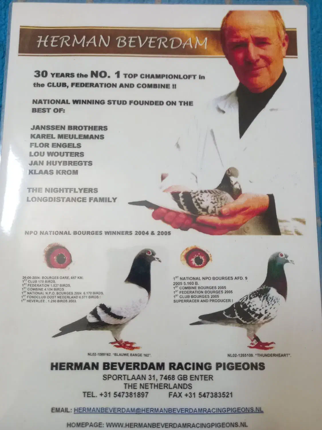 کبوتر پلاکی مسافتی|پرنده|نجف‌آباد, یزدانشهر|دیوار