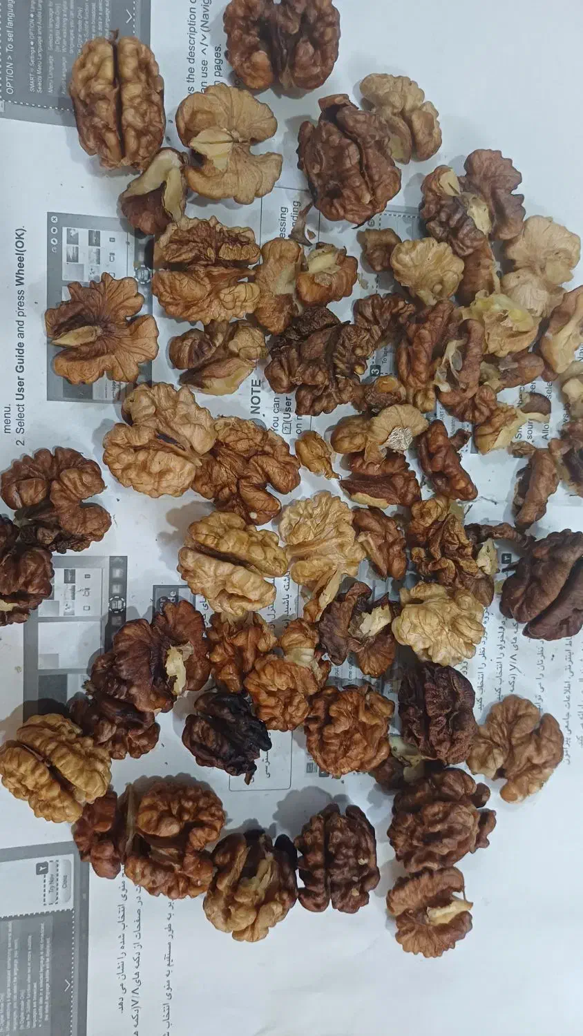 گردو شیروان|خوردنی و آشامیدنی|مشهد, مشکینی (شهرک غرب)|دیوار