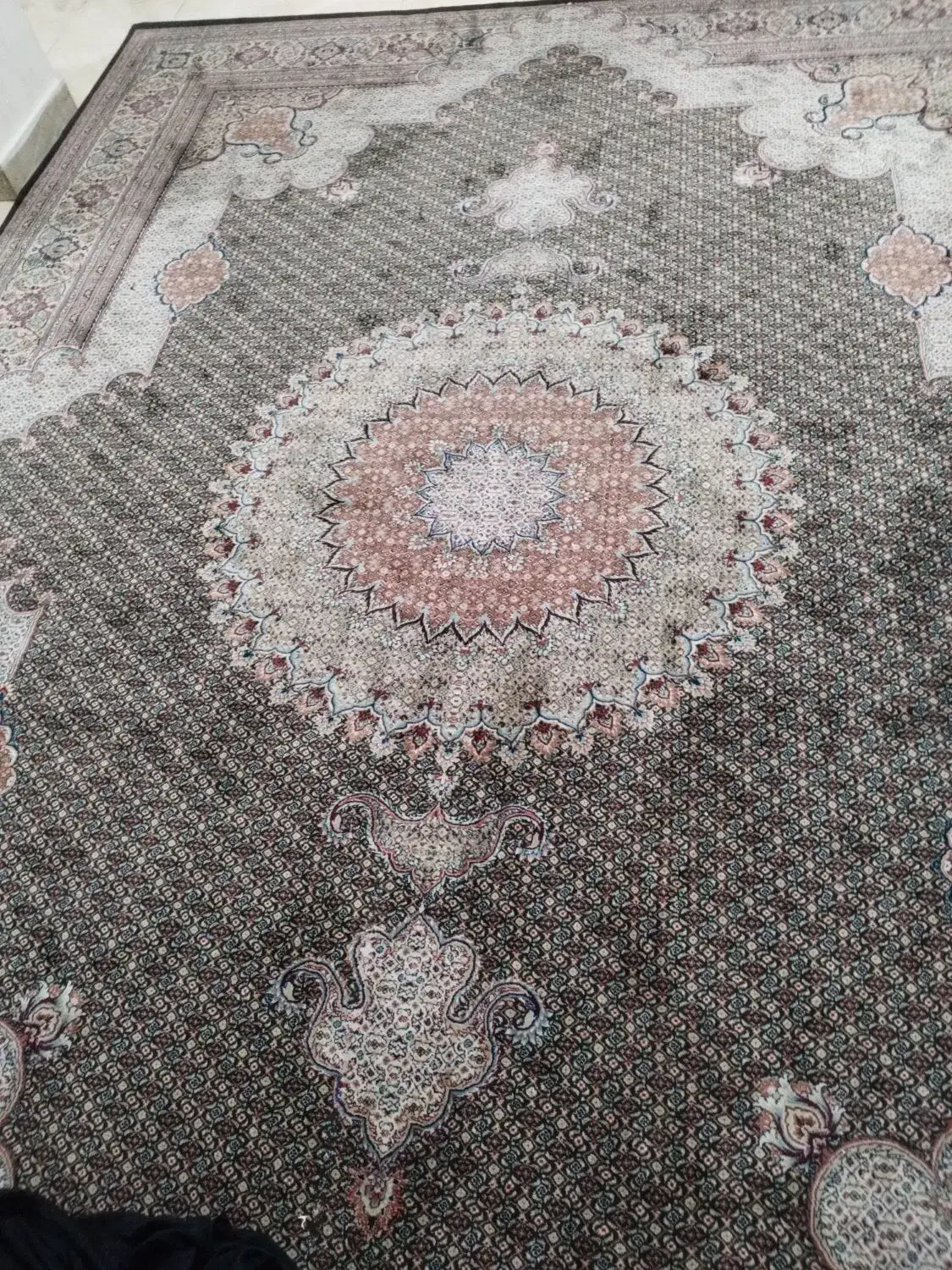 فرش شاه ماهی|فرش|محمدشهر, محمدشهر|دیوار