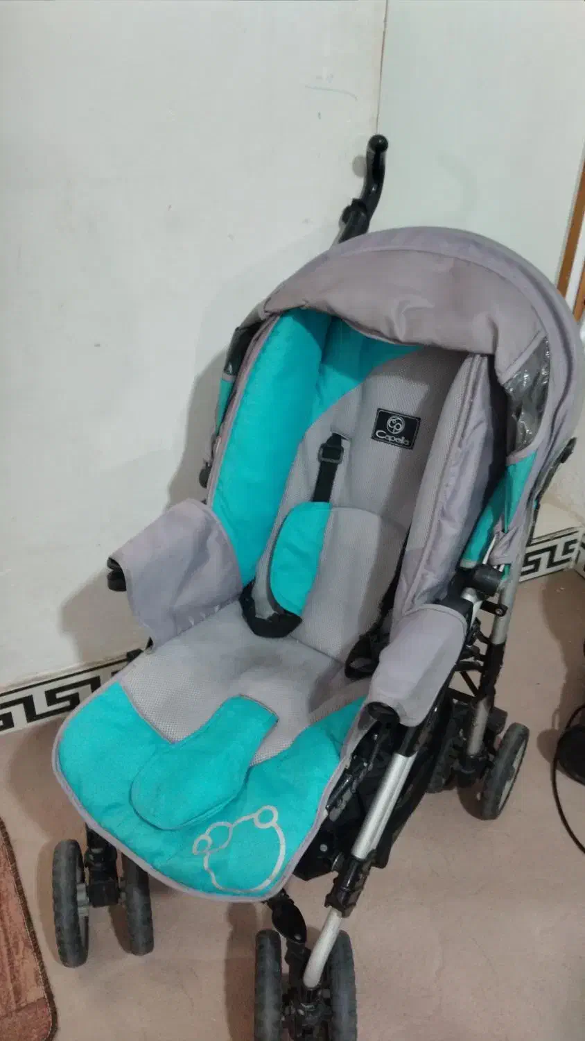 کالسکه|کالسکه و لوازم جانبی|تاکستان, |دیوار