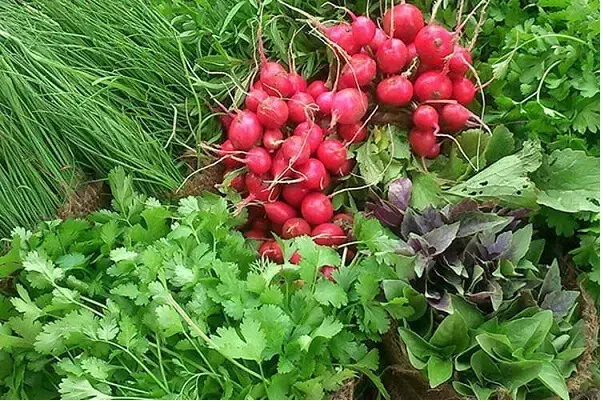 سبزی خرد کن|خردکن، آسیاب، غذاساز|قم, باغ شازده|دیوار