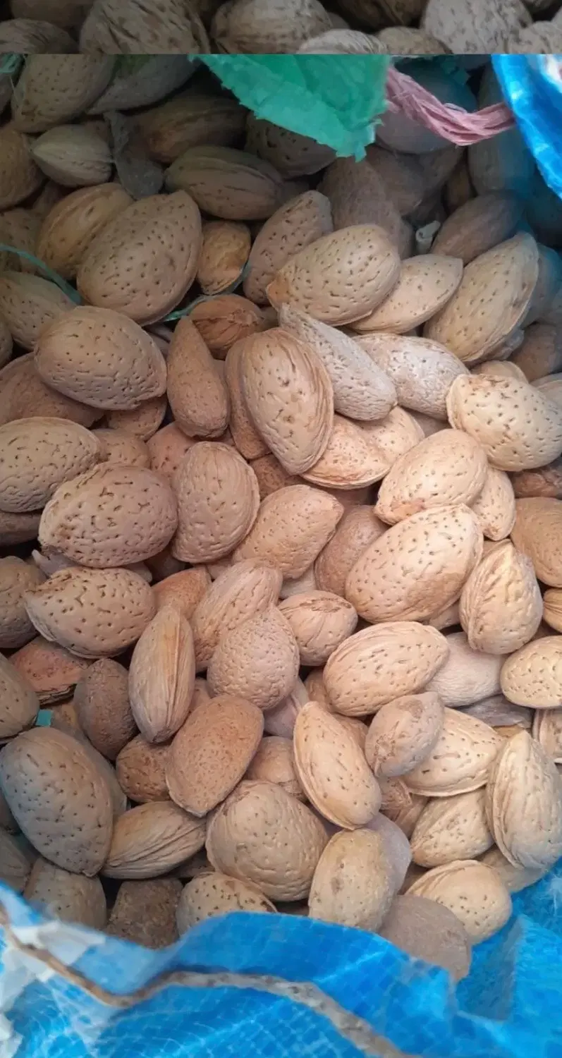 سیر|خوردنی و آشامیدنی|تهران, آهنگران (سراسیاب دولاب)|دیوار