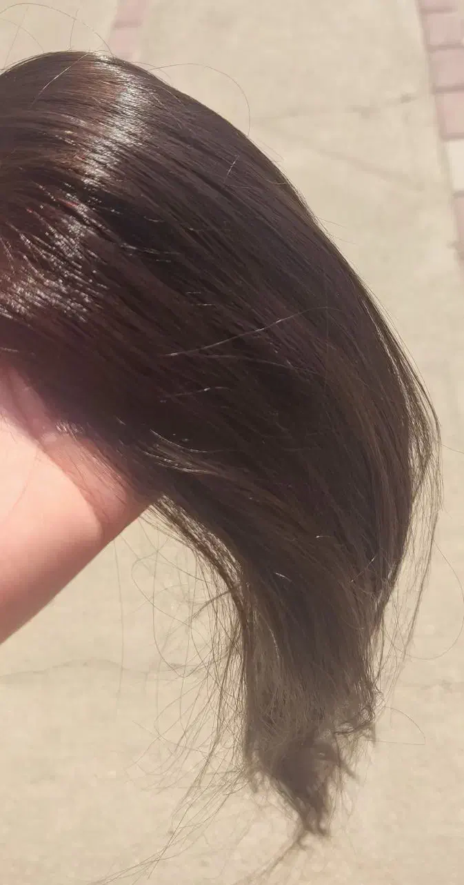 خریدار اصلی موهای شما|خدمات آرایشگری و زیبایی|جم, |دیوار