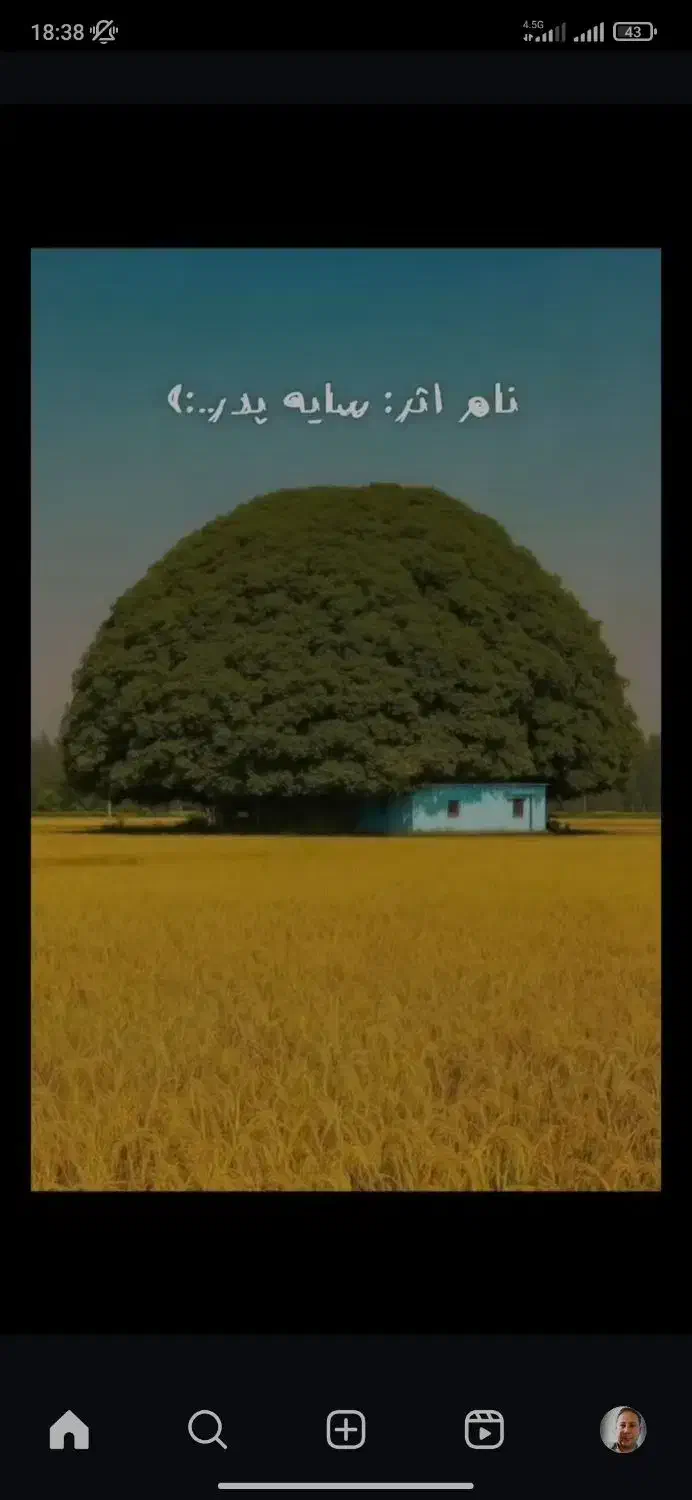 راهنمایی|فعالیت داوطلبانه|کرمان, |دیوار