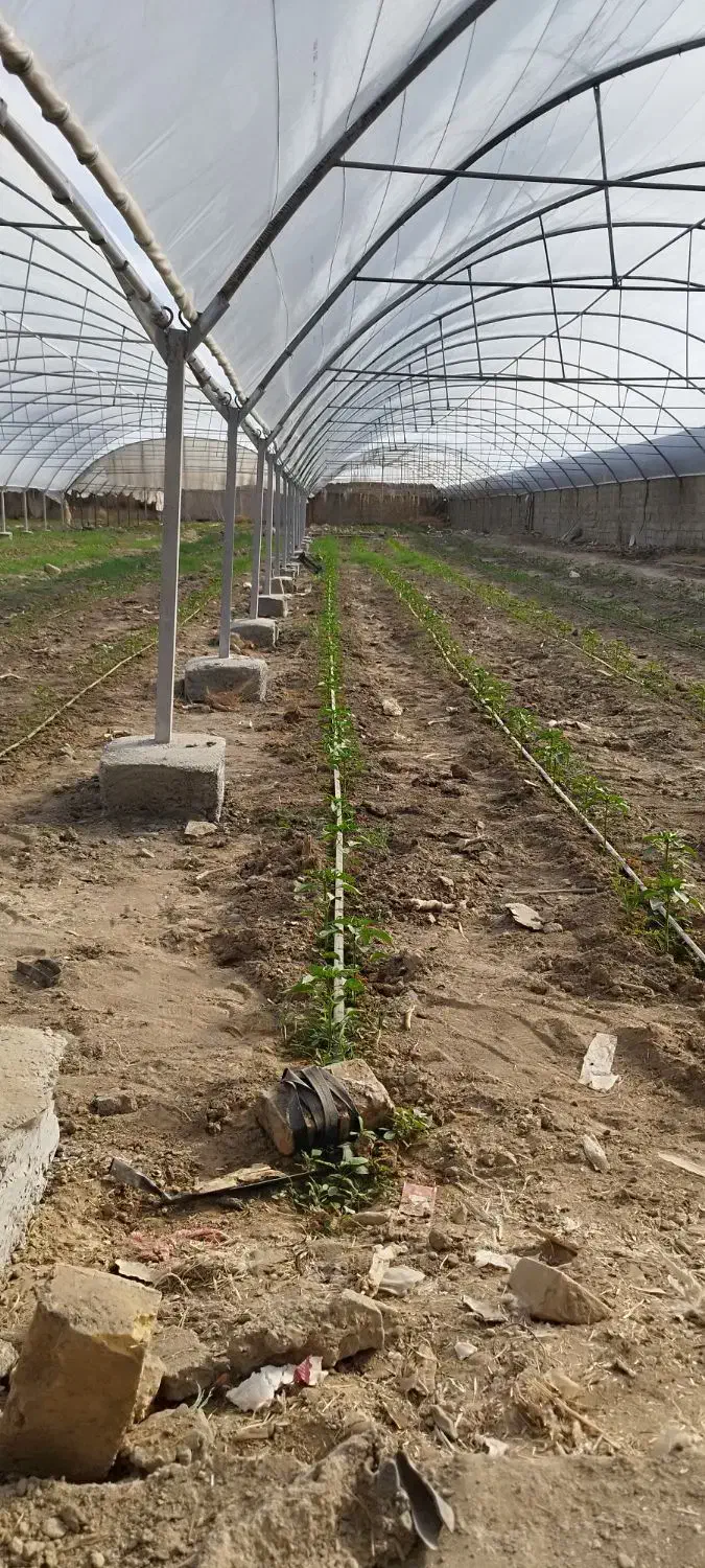 نصاب و جوشکار گلخانه|خدمات پیشه و مهارت|زابل, |دیوار