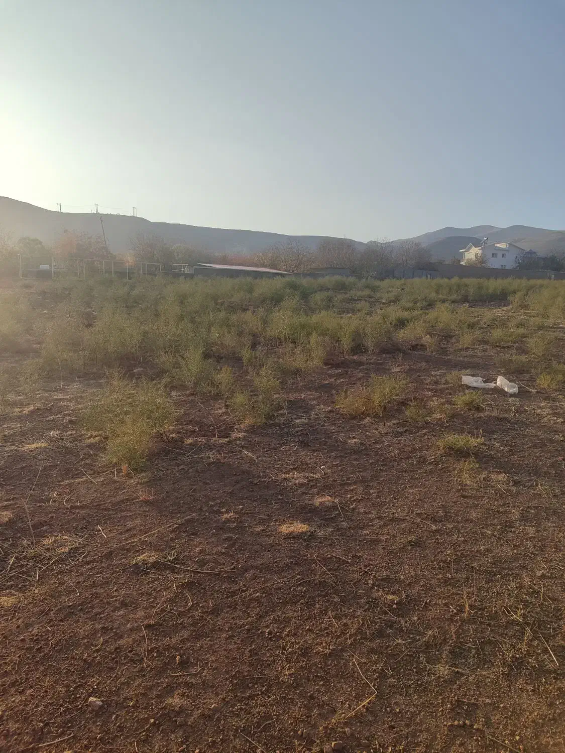 زمین|فروش زمین و ملک کلنگی|صوفیان, |دیوار