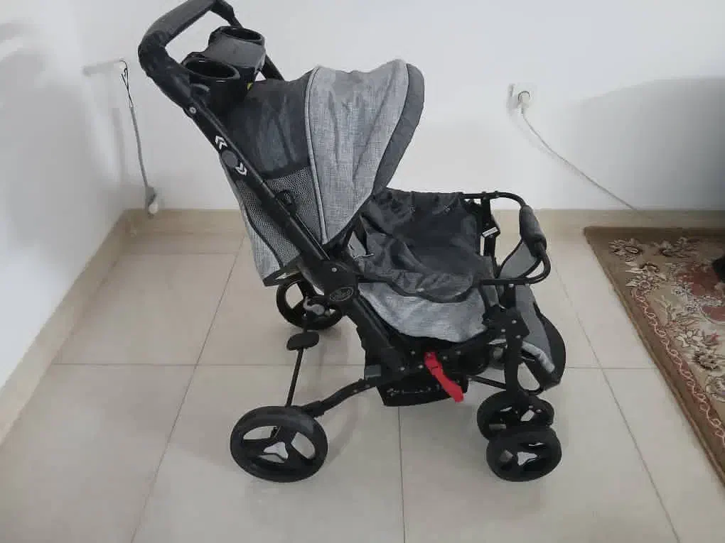 کالسکه دلیجان|کالسکه و لوازم جانبی|یزد, |دیوار