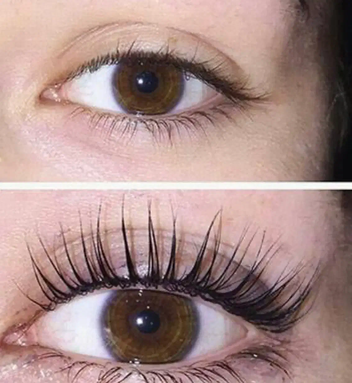 اجتماعی|فعالیت داوطلبانه|تربتحیدریه, مظفریه|دیوار